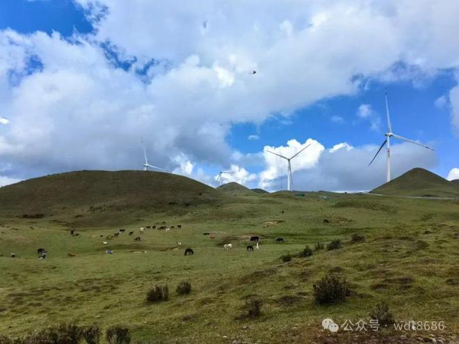 午寒露腊月雪”今年几点？有啥说法？麻将胡了app“上午寒露一冬暖下(图2)