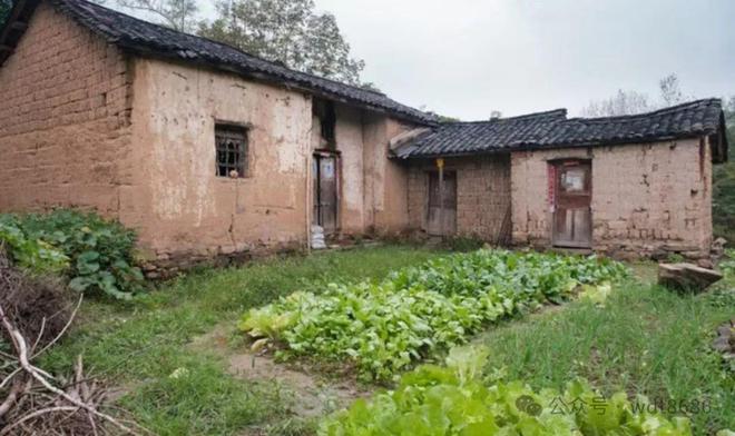 午寒露腊月雪”今年几点？有啥说法？麻将胡了app“上午寒露一冬暖下(图3)