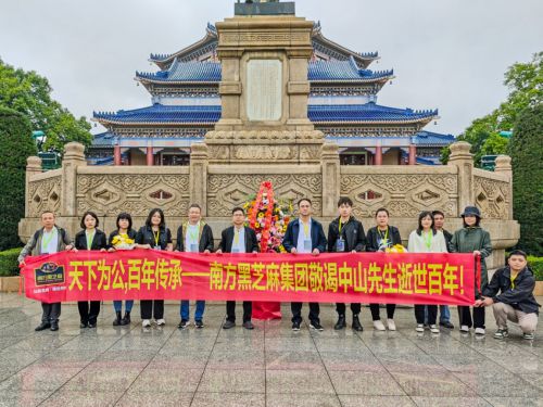 剧《青年孙中山》：以文化赋能健康新食代麻将胡了试玩平台南方黑芝麻惊艳亮相音乐(图7)