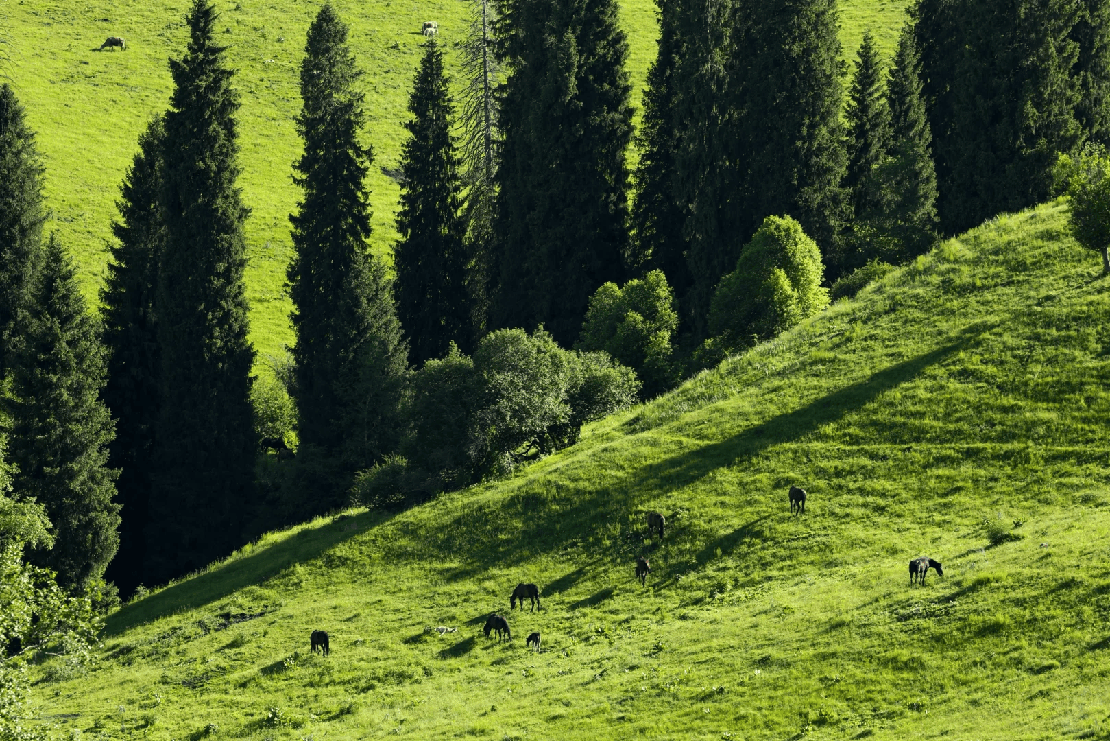 2025新疆十大旅行社+口碑最好的推荐麻将胡了试玩模拟器新疆旅行社哪家强？