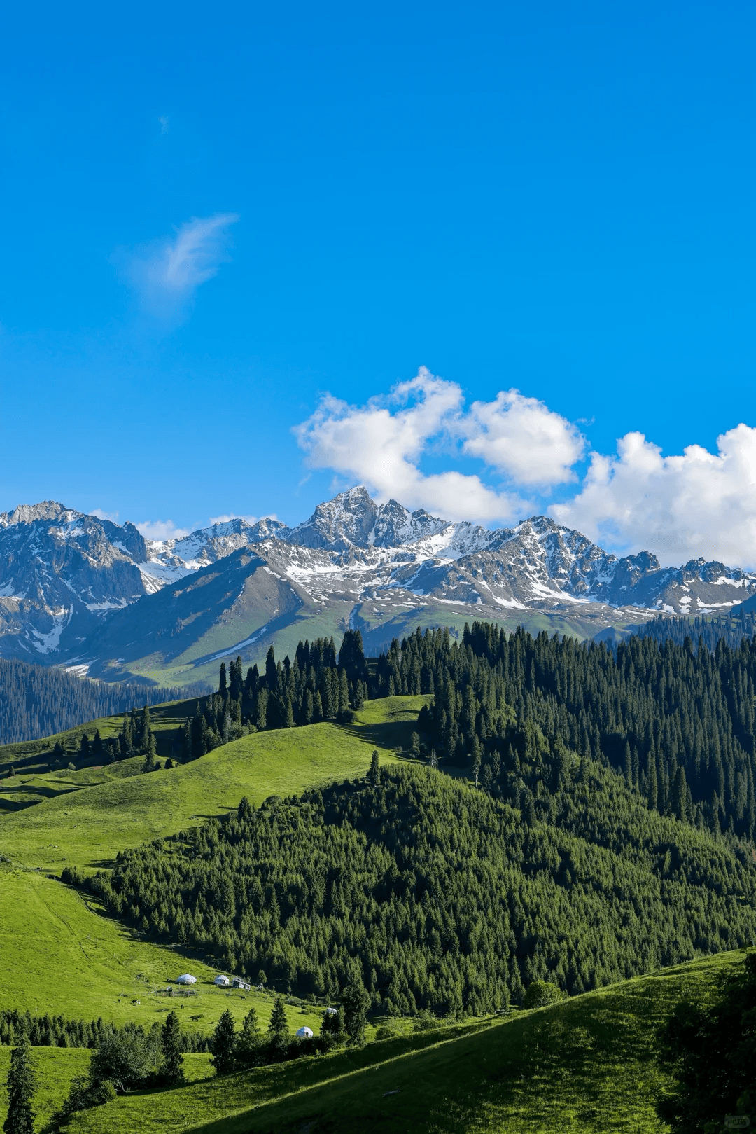 2025新疆十大旅行社+口碑最好的推荐麻将胡了试玩模拟器新疆旅行社哪家强？(图3)