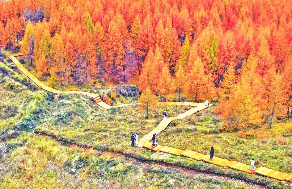 广播电视报》2025年第43期PG麻将胡了试玩电子版 《山西(图11) 广播电视报》2025年第43期PG麻将胡了试玩电子版 《山西(图11)